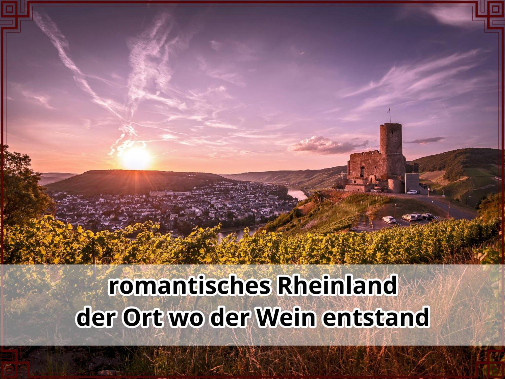 Smallsaigon Apartment Mit Guter Anbindung Zwischen Mosel Und Rhein Leiningen Екстер'єр фото